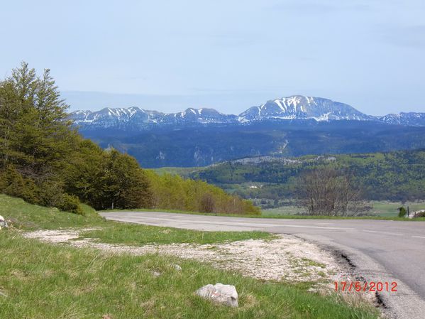 20120517-038 Col de Lachau (Vercors)