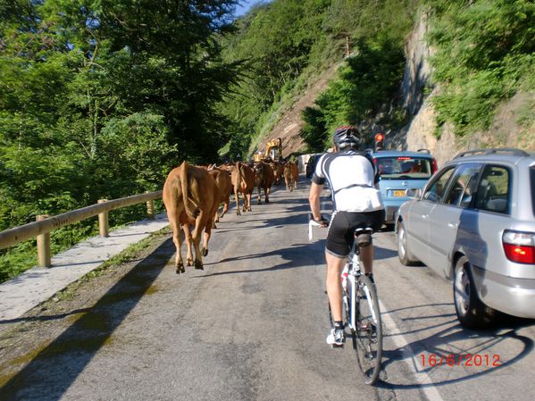 20120616-006 Sortie Tarentaise - Col de la Madeleine