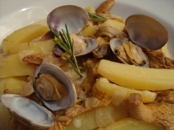 00000000girolles 2