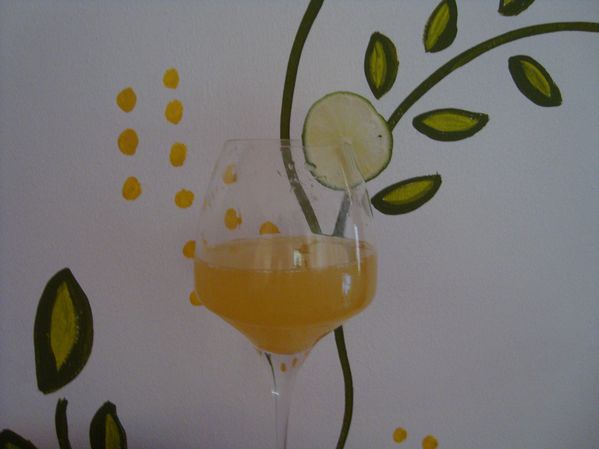 cocktail mimosa 013
