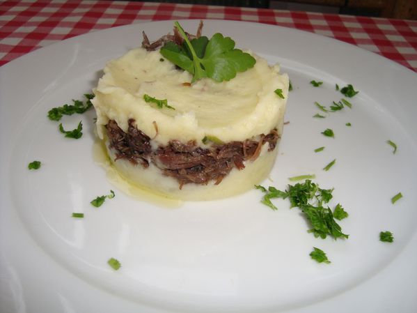 0000000000parmentier canard 2
