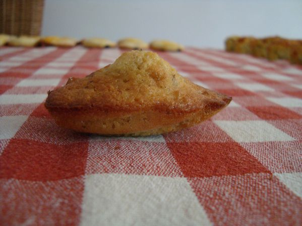 madeleines abricots et noisettes