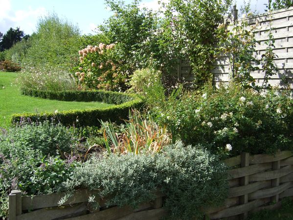 le jardin en septembre