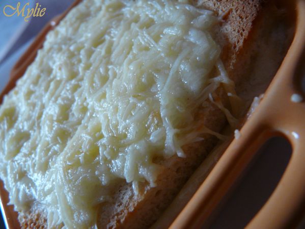 cro-cotte monsieur 2