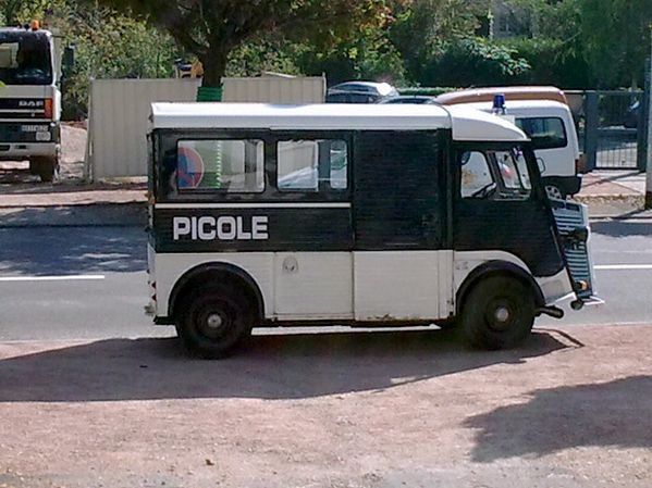 picole2.jpg