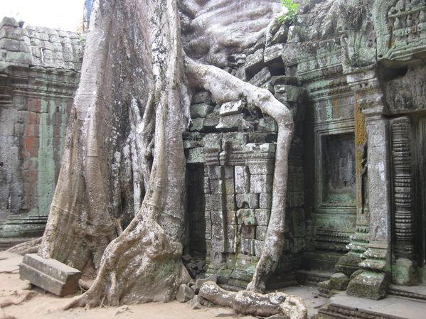 Ta-Prohm 0139