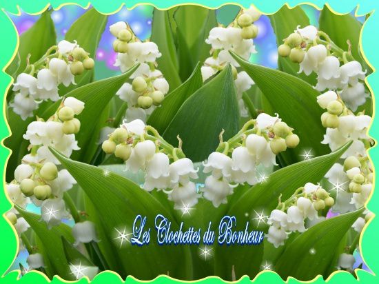 muguet-porte-bonheur.jpg