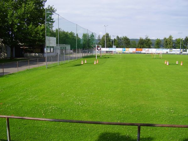TSV Deizisau (2)