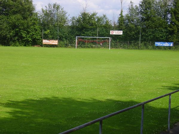 TSV Deizisau (3)