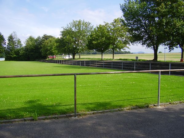 TSV Deizisau