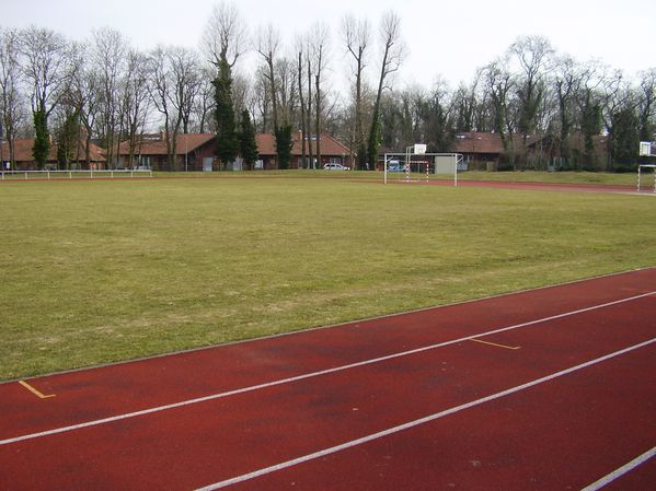 VfB Ottersleben (4)