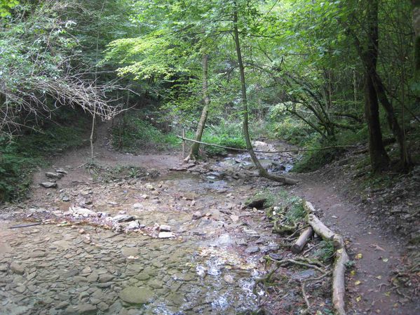 cascade du pounthil 016