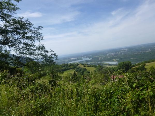 P1050730.JPG