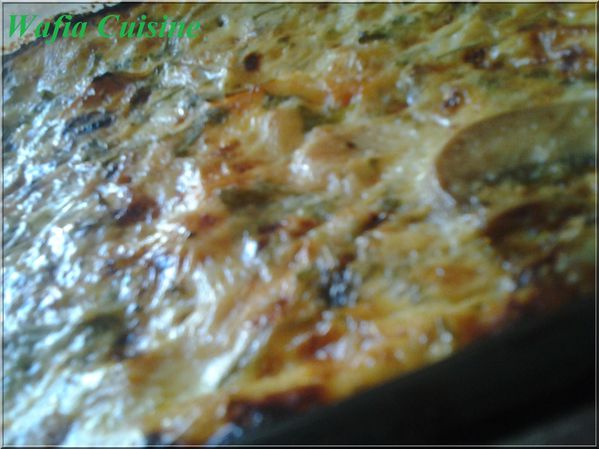 Photo0206