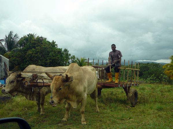 2011-04-14-BasseTerre-lumix.JPG