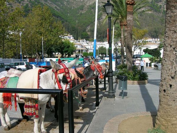 mijas-2.jpg