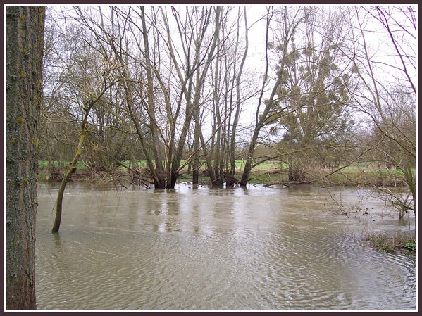 Chatillon.Crue d'avril 2006.Les Pallures. (1)