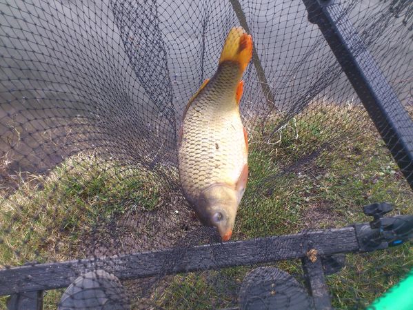 20-03-2012---Boves 0500