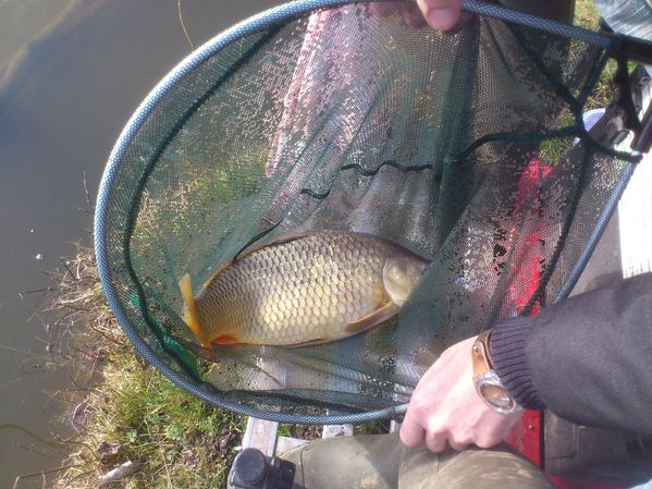 20-03-2012---Boves 0501