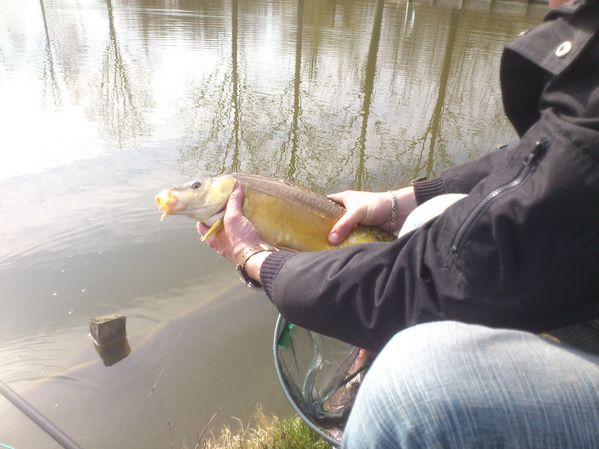 20-03-2012---Boves 0503