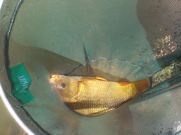 20-03-2012---Boves 0505