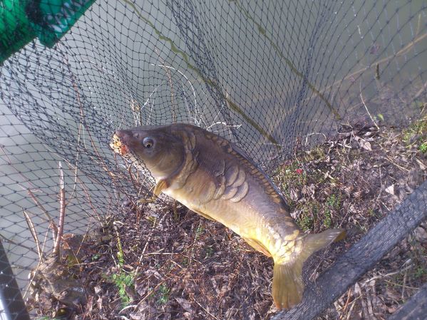 20-03-2012---Boves 0507