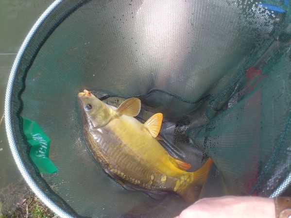 20-03-2012---Boves 0509