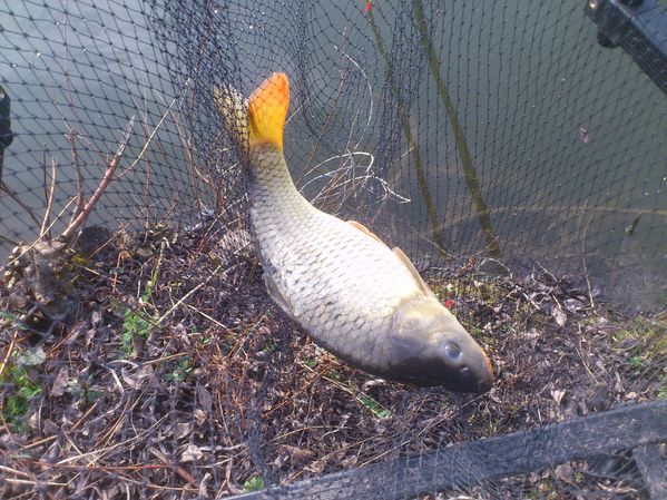 20-03-2012---Boves 0511