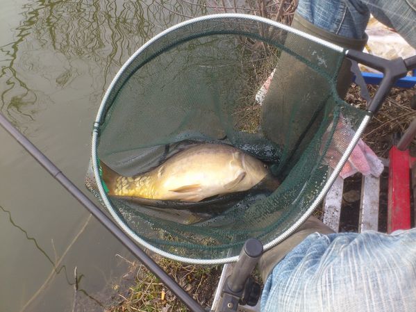20-03-2012---Boves 0526
