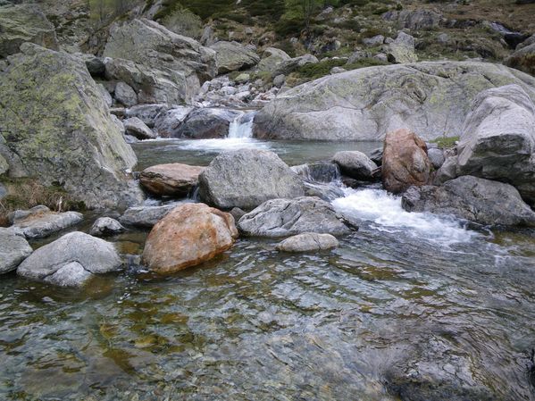 gordo-7-05-2011-007.JPG