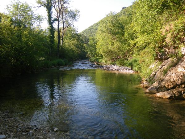le-loup-bramafan-05-07-2011-030.JPG
