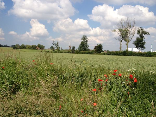 LE-MONT-CASSEL 0667