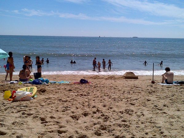 IMG-20130724-01583.jpg