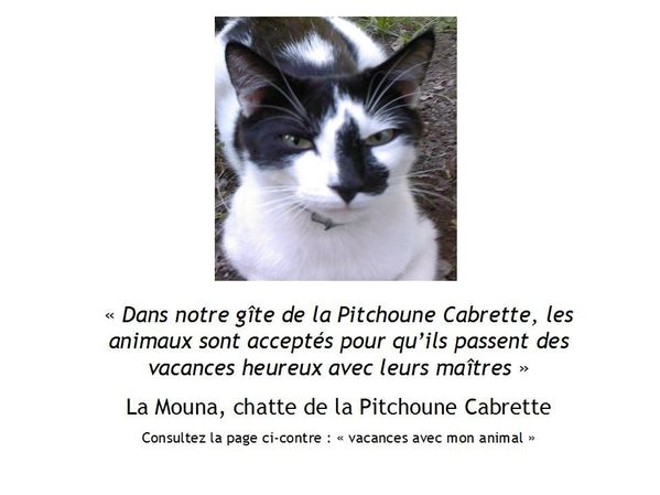 gite en provence et animaux