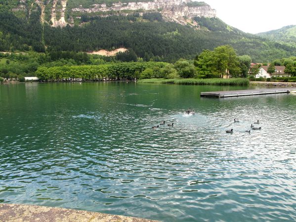 lac Nantua(4)