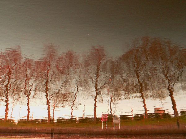 pays sauvage