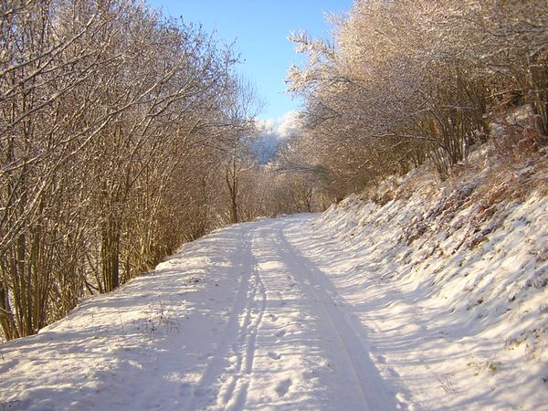 servière 17 12 09 005
