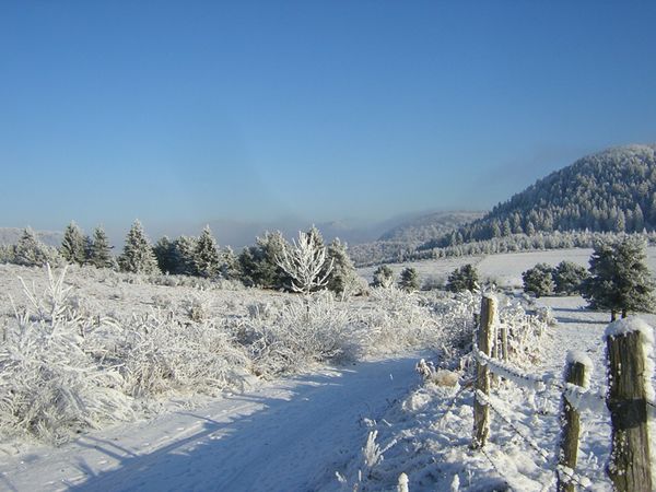 servière 17 12 09 015