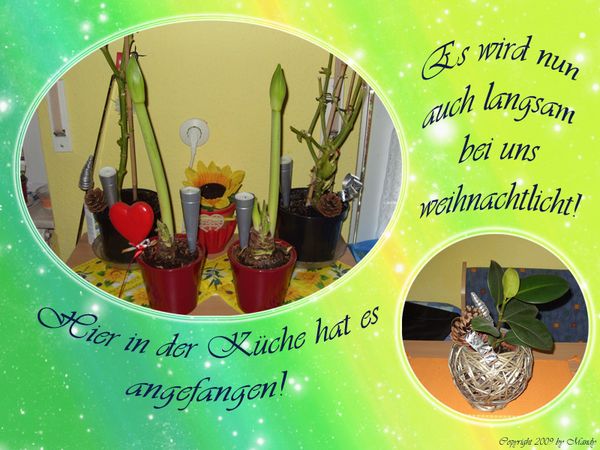 weihnachtlich.jpg