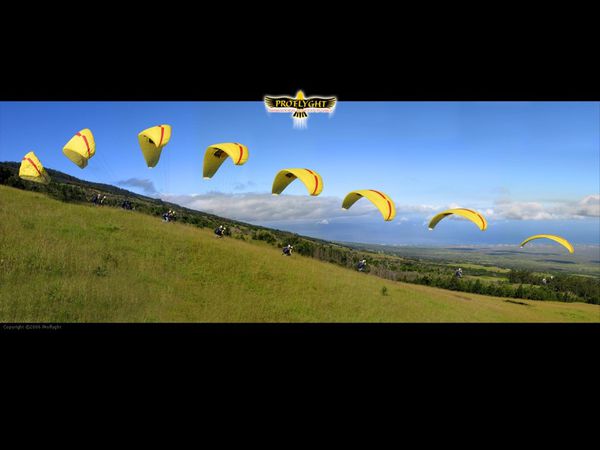 team_of_paragliders_in_a_row_starting_to_launch-1-.jpg