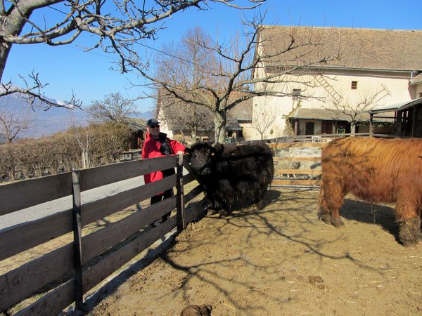 ferme 010