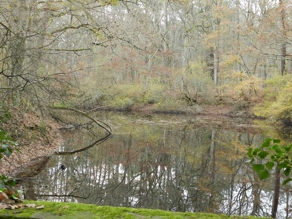 Rencontres foret de fontainebleau