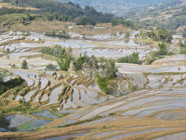 Yuanyang dans les rizières - 15