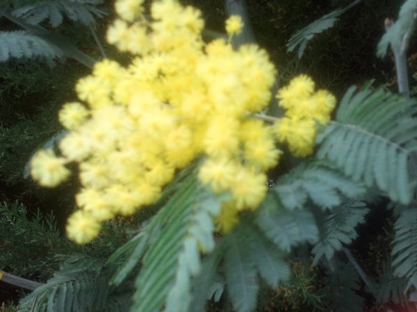 Photo0273.jpg
