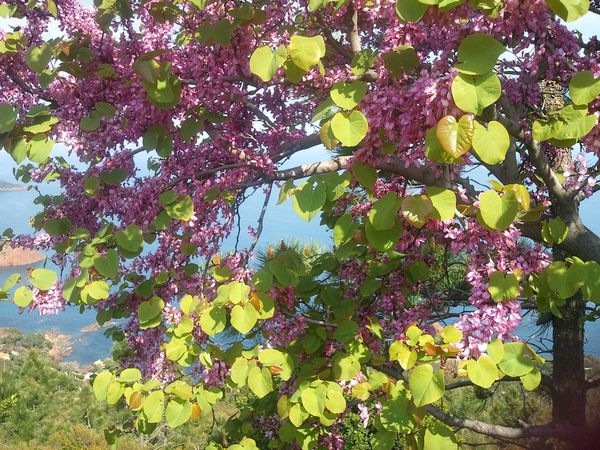 Photo0324.jpg