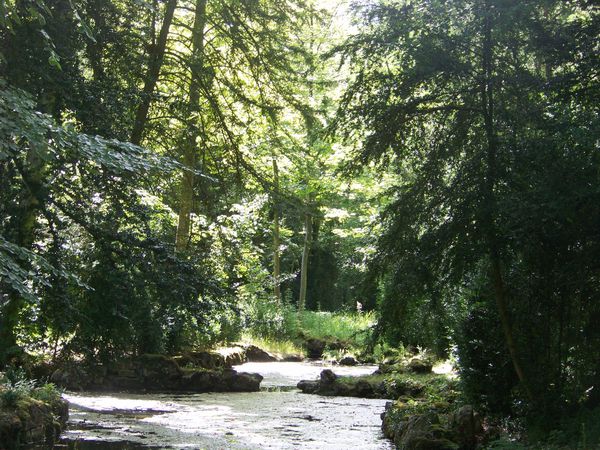 sous-bois et rivière du jardin anglo-chinois