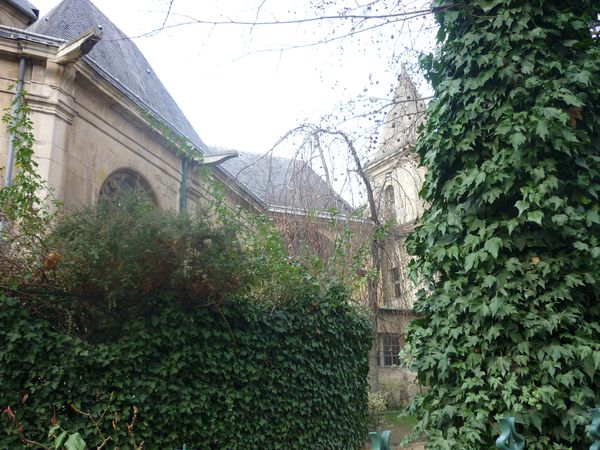13-02-20211-010.JPG