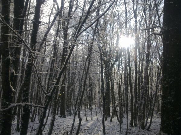 Photo0099