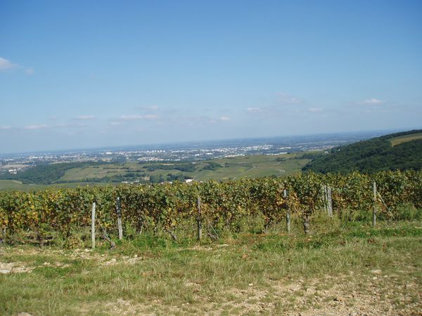 P9230417