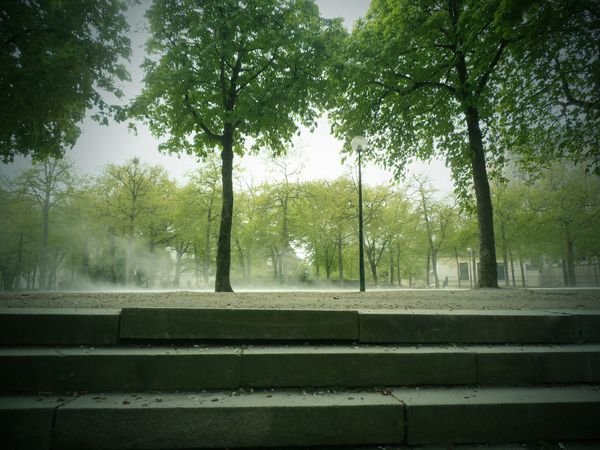 Cours-Cambronne.jpg